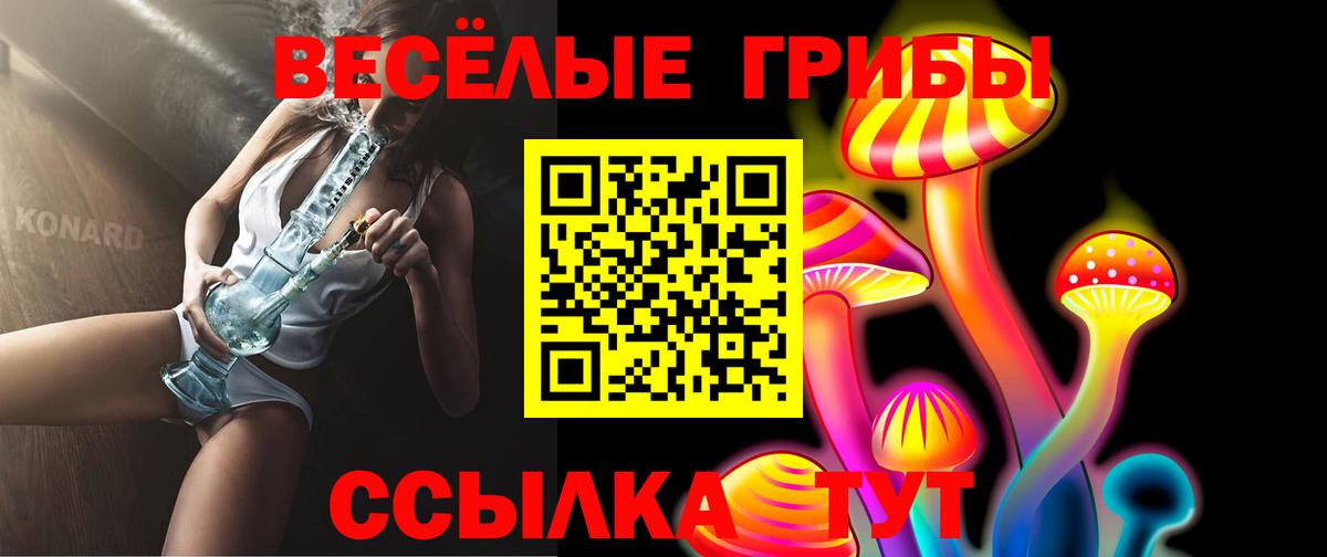 Псилоцибиновые грибы GOLDEN TEACHER Гай