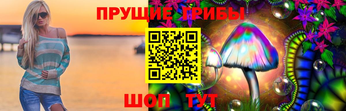 Псилоцибиновые грибы мицелий  Вход с VPN  Гай 